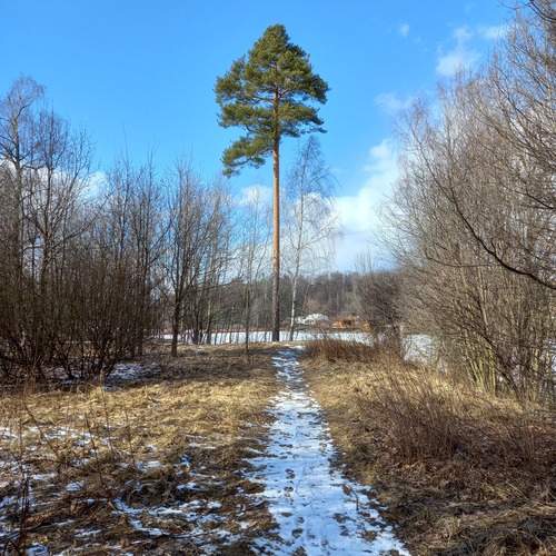 Photo #13652292