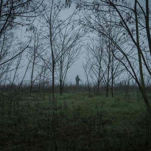 Photo #13652319