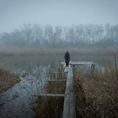 Photo #13652333