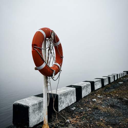 Photo #13652380