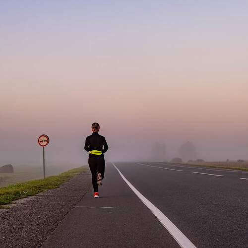 Photo #13652477