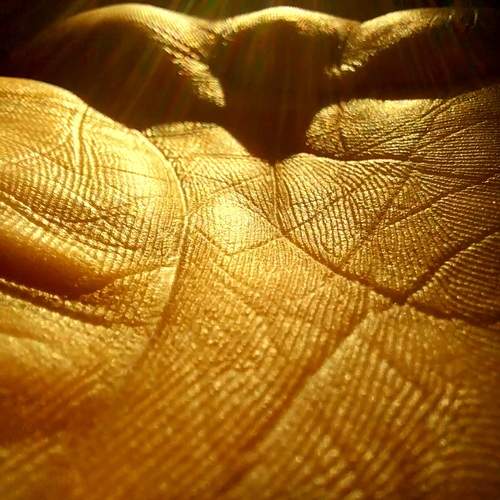 Photo #13652533