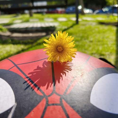 Photo #13652617