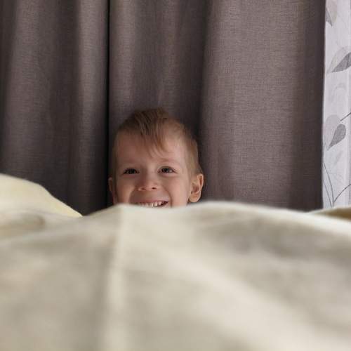 Photo #13652644