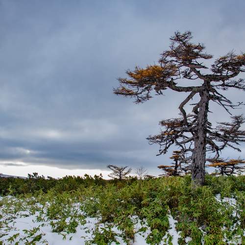 Photo #13652672