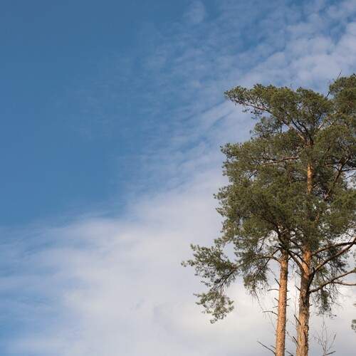Photo #13652712