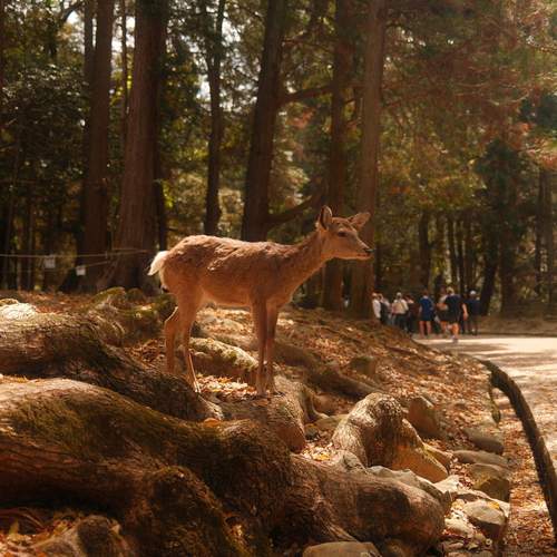 Photo #13652807