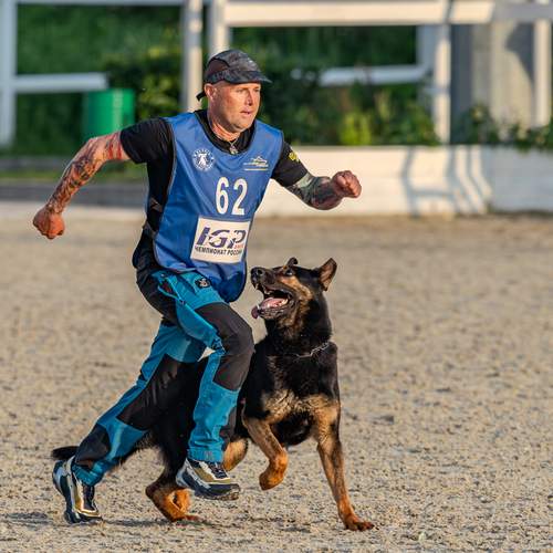 Photo #13652891