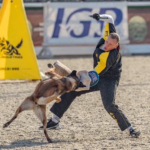 Photo #13652893