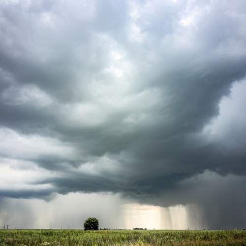 Photo #13653004