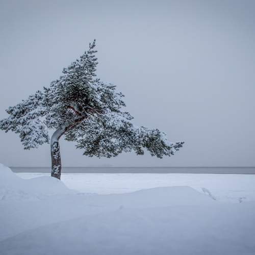 Photo #13653016