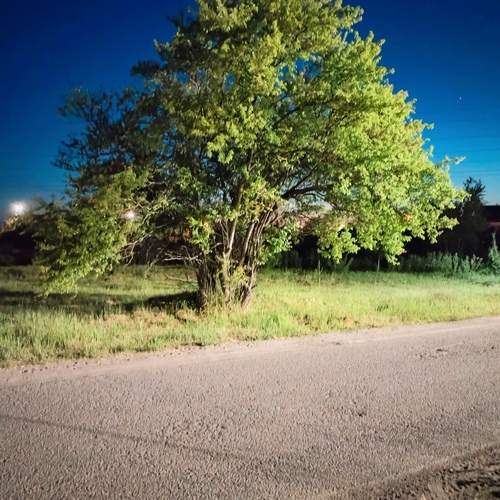 Photo #13653021