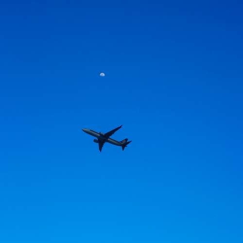 Photo #13653082