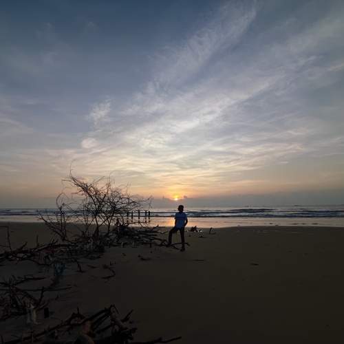 Dawn Solitude