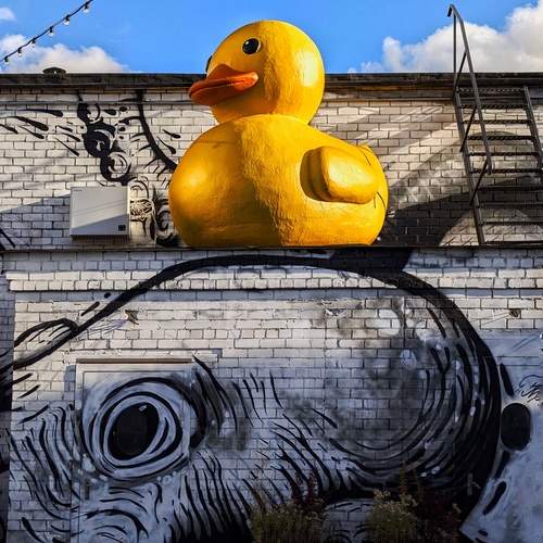 Photo #13653203