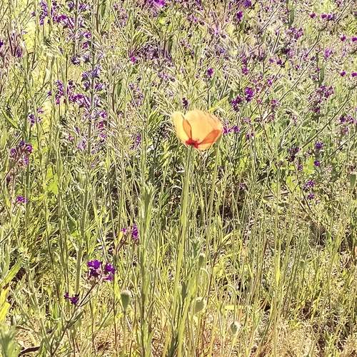 Photo #13653213