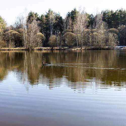 Photo #13653230