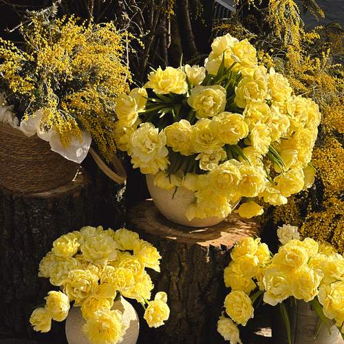 Photo #13653234