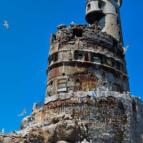 Photo #13653246