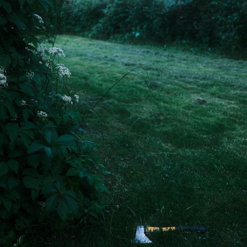 Photo #13653251