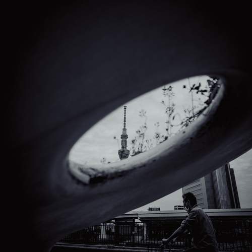 Photo #13653266