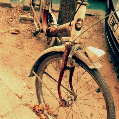 Photo #13653338
