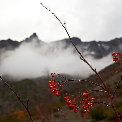Photo #13653394