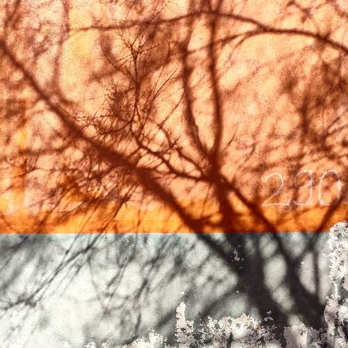 Photo #13653412