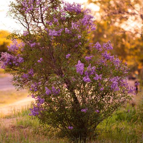 Photo #13653413
