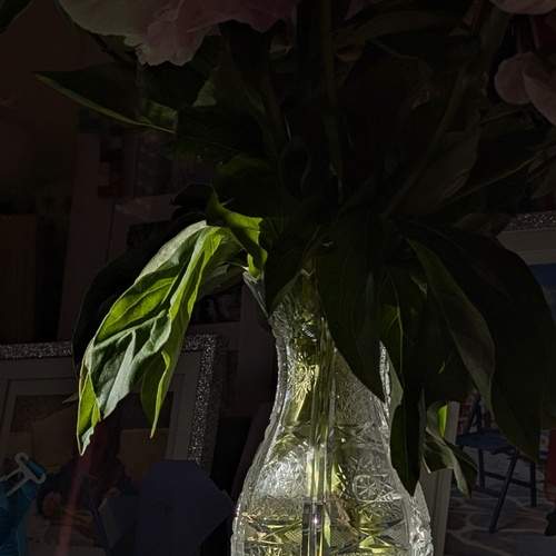 Photo #13653508