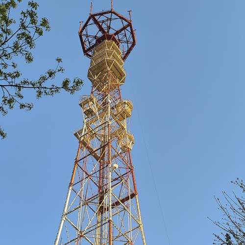 Photo #13653520