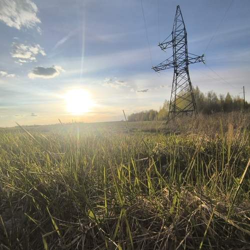 Photo #13653523