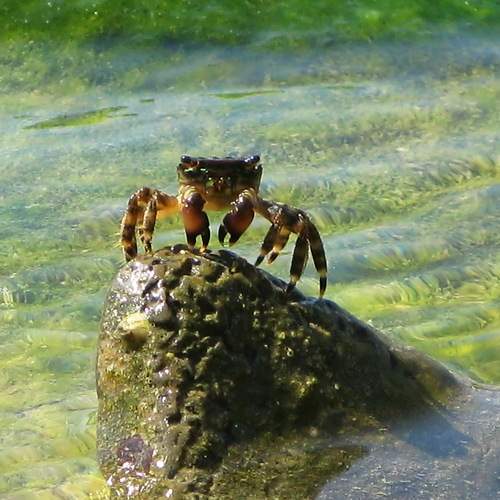 Photo #13653543