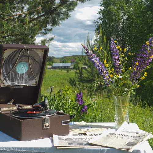 Photo #13653566