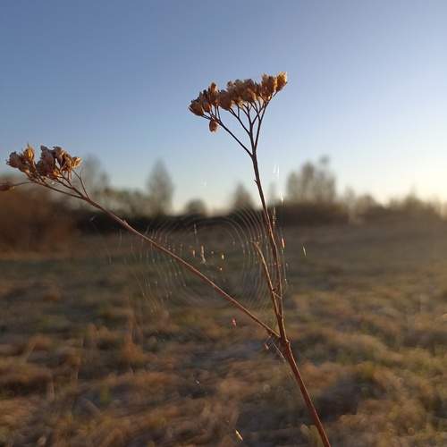 Photo #13653592