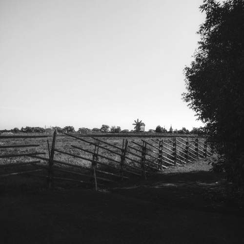 Photo #13653594