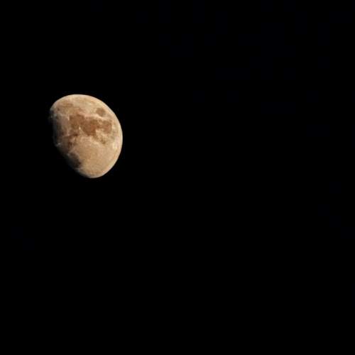 Photo #13653620