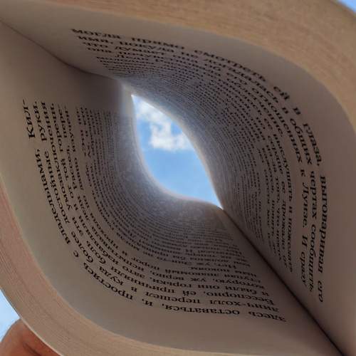 Photo #13653622
