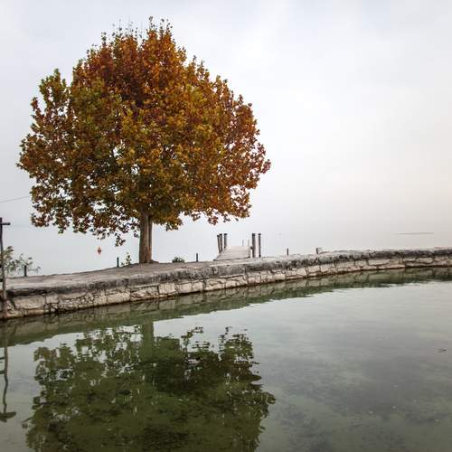 Photo #13653764