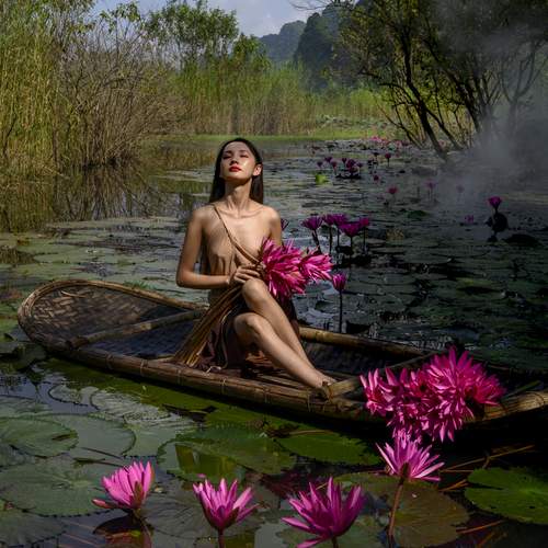 Where the Lotus Blooms