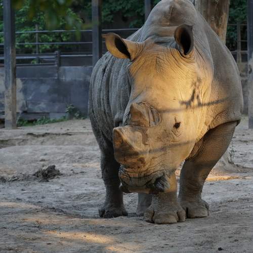Photo #13653834
