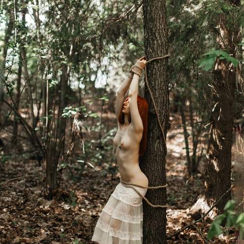 Photo #13653968