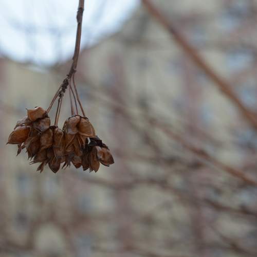 Photo #13653989