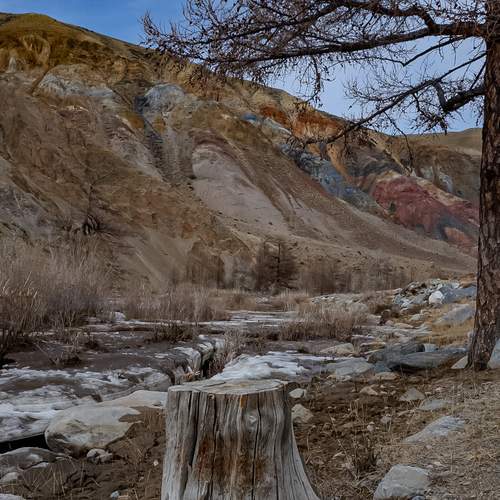 Photo #13653990