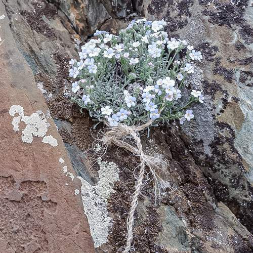 Photo #13654001