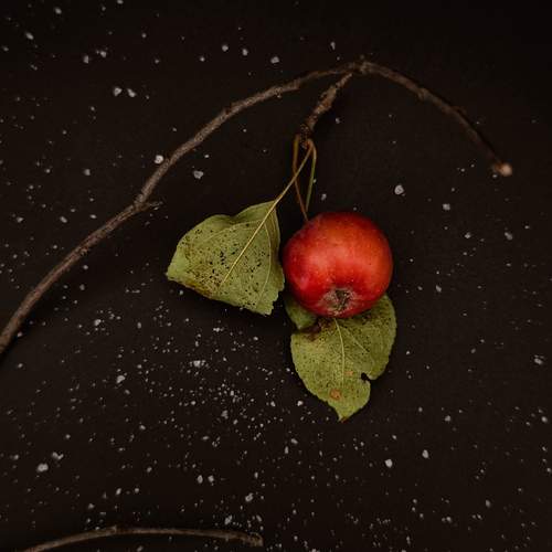 Photo #13654124