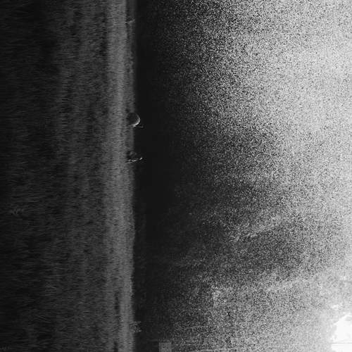 Photo #13654246