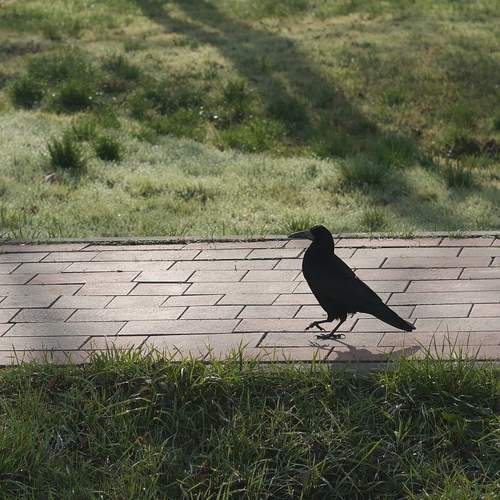 Photo #13654251