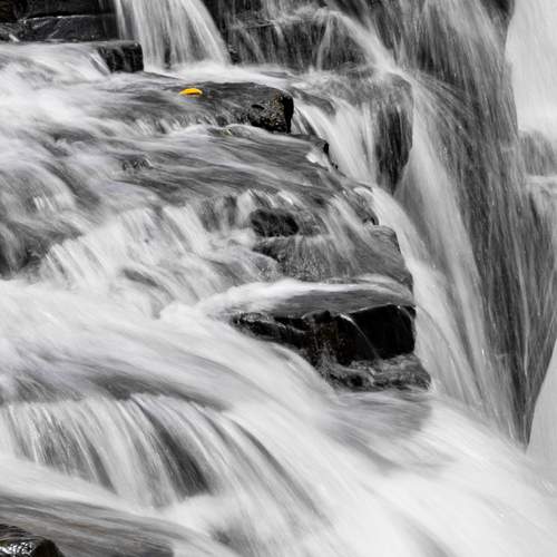 Photo #13654422