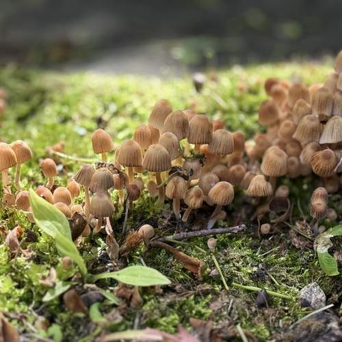 Photo #13654456